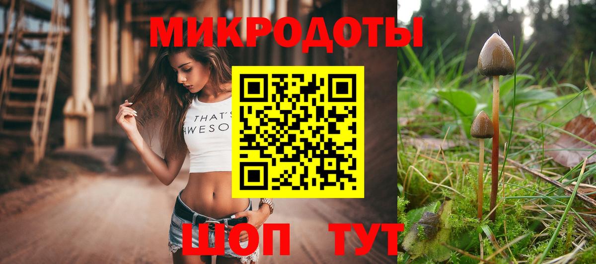 Псилоцибиновые грибы мухоморы Шелехов