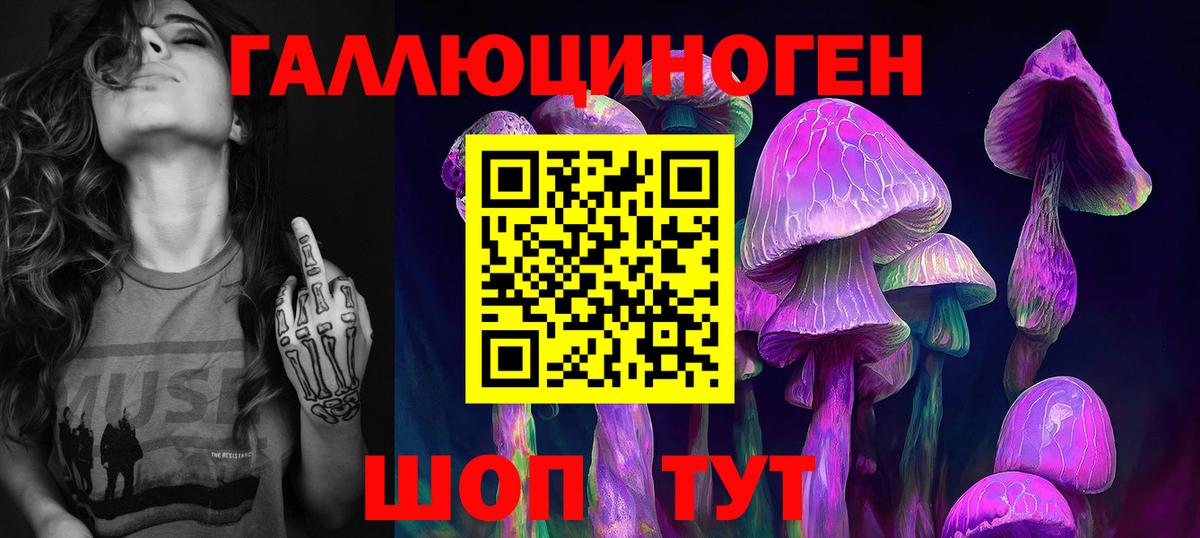 Галлюциногенные грибы Psilocybe  Галлюциногенные грибы Cubensis  Вход с VPN  Шелехов 