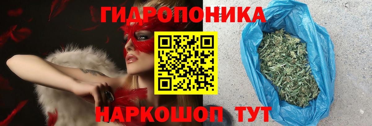 Шишки марихуана сатива  Вход с VPN  Шелехов  Бошки Шишки сатива 